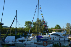 DSC_1772
