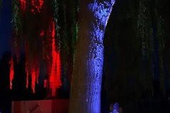 Resized_20190824_212147