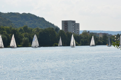 DSC_2217