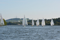 DSC_2324
