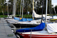 DSC_0056-1