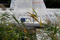 DSC_0091-1
