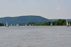 DSC_0915